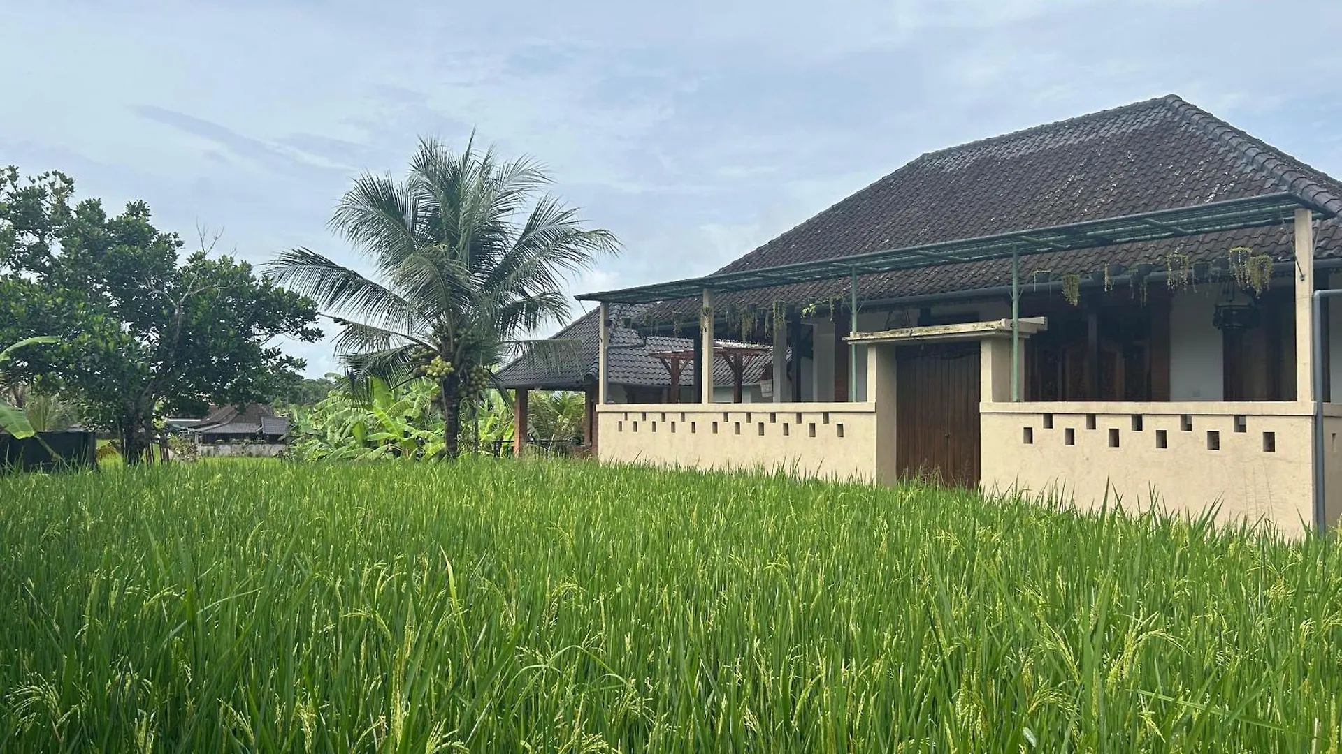 Ketut'S Place Penestanan Ubud